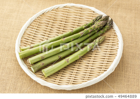 蘆筍 蘆筍 49464889