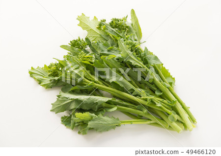 Chimadillapa Chimadillapa 49466120