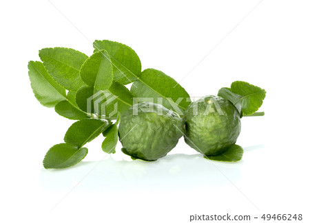 Citrus hystrix and green leaf 49466248