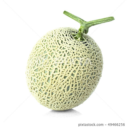 cantaloupe melon isolated on white. cantaloupe melon isolated on white. 49466256