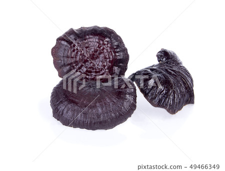 Lingzhi Mushroom Ganoderma Lucidum on white. 49466349