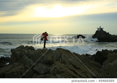 紅毛猩猩的動態！動感的海洋！，橘子 49466989