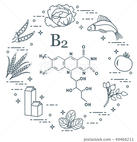 Foods rich in vitamin B2 Fish, peas and other. 49468211