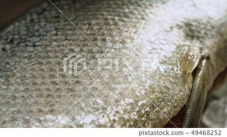 salmon, macro, scales, fishing, ocean, salmon, salmon, macro, scales, fishing, ocean, salmon, 49468252