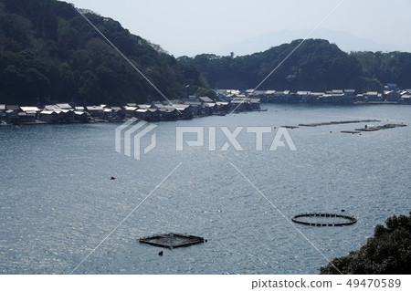 Ashiya群早春Ine鎮 49470589