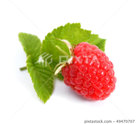 Raspberry isolated on white background. Raspberry isolated on white background. 49470707