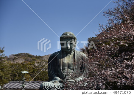 大佛在春天 49471070