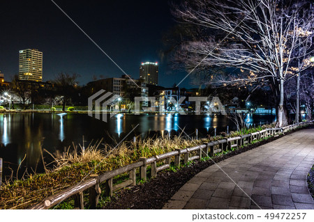 Shakujii公園 49472257