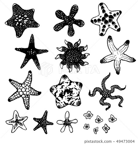 Starfish set Starfish set Starfish set Starfish set 49473004