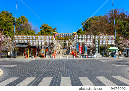 ■武田神社■武田神社百年,甲府開業五百年■櫻花盛開■武田信玄■山梨縣 ■武田神社■武田神社百年,甲府開業五百年■櫻花盛開■武田信玄■山梨縣 49474092