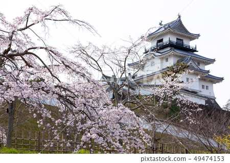 Kakegawa Castle Kakegawa Castle 49474153