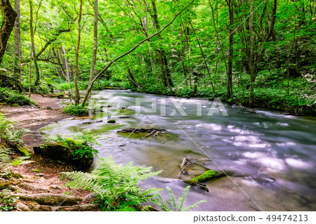 Oirase stream 49474213