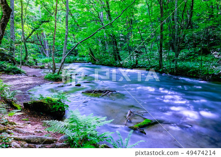 Oirase stream Oirase stream 49474214