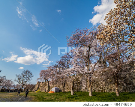 Tsuyama Castle ruins famous for cherry blossoms 49474699