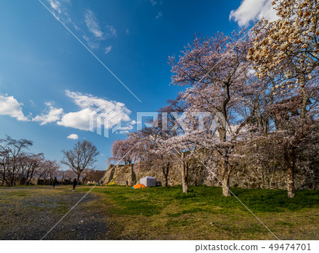 Tsuyama Castle ruins famous for cherry blossoms Tsuyama Castle ruins famous for cherry blossoms 49474701