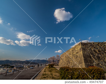 Tsuyama Castle ruins famous for cherry blossoms 49474707