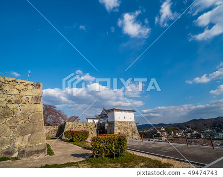 Tsuyama Castle ruins famous for cherry blossoms Tsuyama Castle ruins famous for cherry blossoms 49474743