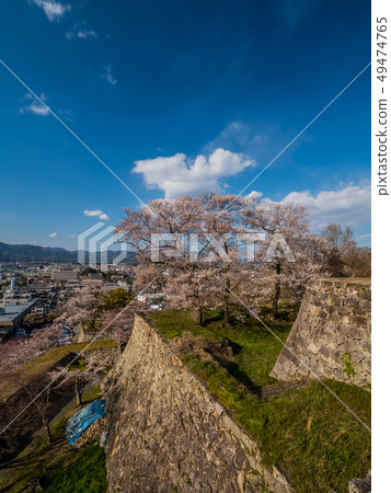 Tsuyama Castle ruins famous for cherry blossoms 49474765