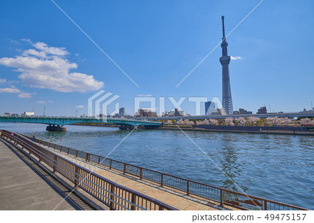 Scenery of the Sumida River in Tokyo Scenery of the Sumida River in Tokyo 49475157