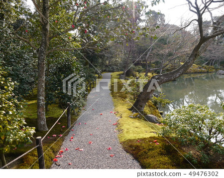 Kinkakuji (World Heritage Site, Special Historic Site, Special Scenic Spot) Kinkakuji (World Heritage Site, Special Historic Site, Special Scenic Spot) 49476302