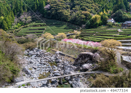 在唐樓的一座定居點橋樑 49477334