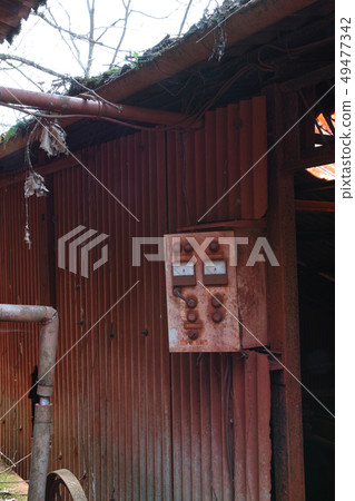 被放棄的植物在Bengala 被放棄的植物在Bengala 49477342