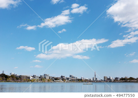 在茨城縣春天美圖市的森巴湖 在茨城縣春天美圖市的森巴湖 49477550
