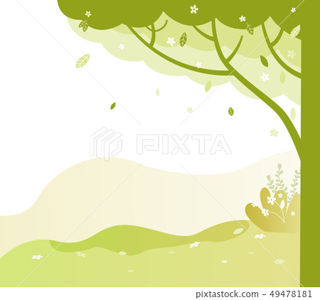 Park with Trees and Green Grass, Bushes in Spring Park with Trees and Green Grass, Bushes in Spring 49478181