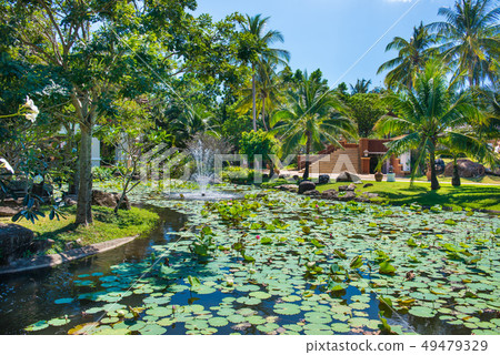 Green pond and buildings of hotel at tropical Green pond and buildings of hotel at tropical 49479329