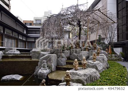 Hexagonal temple (Zohhoji) Miyukizakura Hexagonal temple (Zohhoji) Miyukizakura 49479632