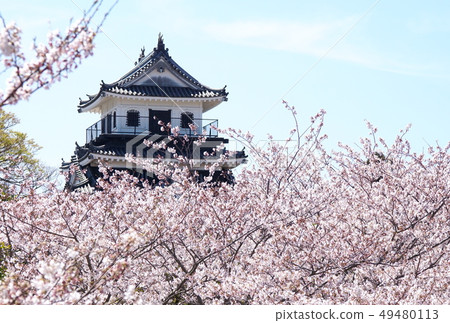 Nakatsu Castle 49480113