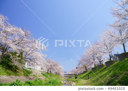 Kawabe/Spring Urara/Sabo 5 49481028