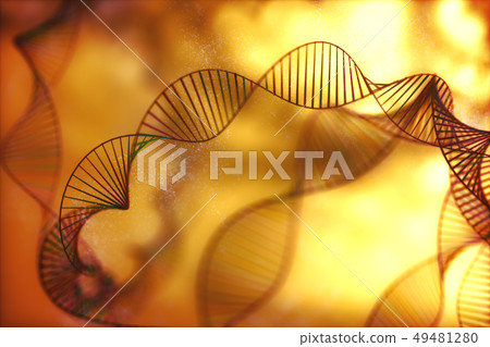 DNA Genetic Code Colorful 49481280