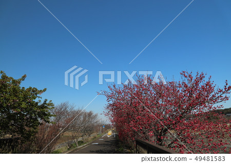 Tsukuba Kasumigaura Rinrin Road，從筑波站俯瞰筑波 49481583