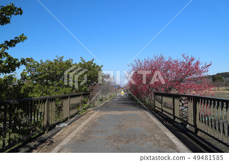 Tsukuba Kasumigaura Rinrin Road, overlooking Tsukuba from Tsukuba Station Tsukuba Kasumigaura Rinrin Road, overlooking Tsukuba from Tsukuba Station 49481585