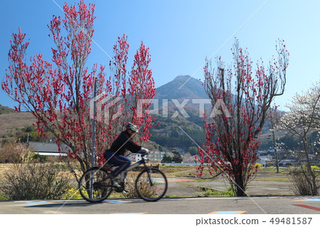 Tsukuba Kasumigaura Rinrin Road,從筑波站俯瞰筑波 Tsukuba Kasumigaura Rinrin Road,從筑波站俯瞰筑波 49481587