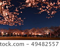 Cherry blossoms at night 49482557
