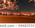 Cherry blossoms at night 49482559