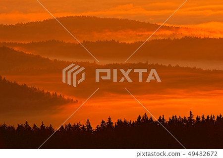 Cold morning in Sumava National park 49482672