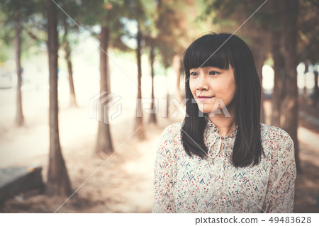 一棵樹在森林裡。樹木和森林Yutakuta Ochihamatsu，松樹，植物。 49483628