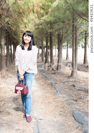 A tree in the forest. Trees and forests Yutaku Ochihamatsu, pine trees, plants. 49483631