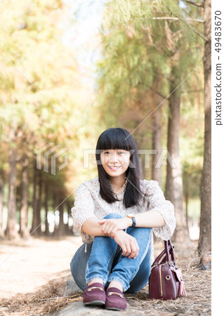 A tree in the forest. Trees and forests Yutaku Ochihamatsu, pine trees, plants. 49483670