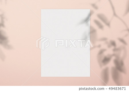 Blured of branch shadow and empty paper  on 49483671