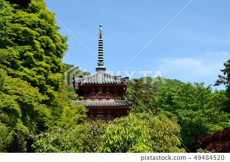 京都:春天三Muroto-dera三重塔 京都:春天三Muroto-dera三重塔 49484520