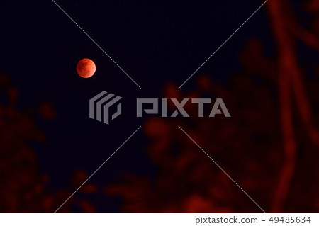 超級血月 49485634