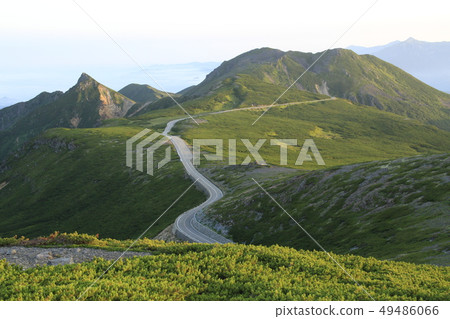 road  49486066