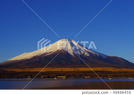 從山中湖看到的清晨富士山 從山中湖看到的清晨富士山 49486459