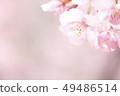 Image of cherry blossoms 49486514