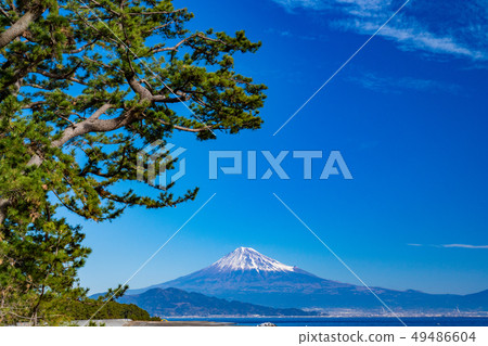 靜岡縣美穗的松原和富士山 靜岡縣美穗的松原和富士山 49486604