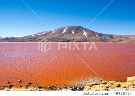 Laguna Colorada view, Bolivia 49486783